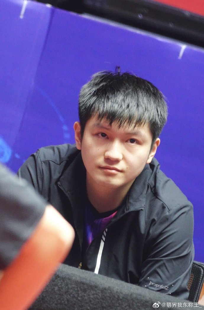 包含德国乒乓球队险胜波兰乒乓球队,樊振东完成帽子戏法的词条 包含德国乒乓球队险胜波兰乒乓球队,樊振东完成帽子戏法的词条