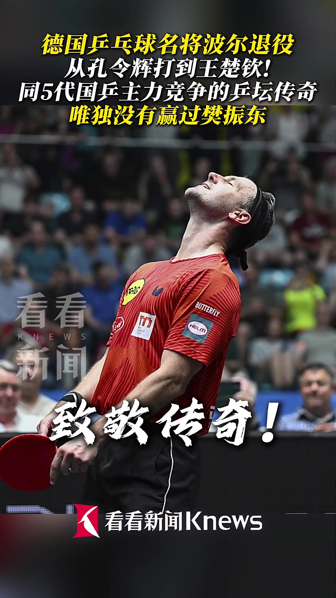 波兰乒乓球队横扫奥地利乒乓球队，波尔高光表现的简单介绍