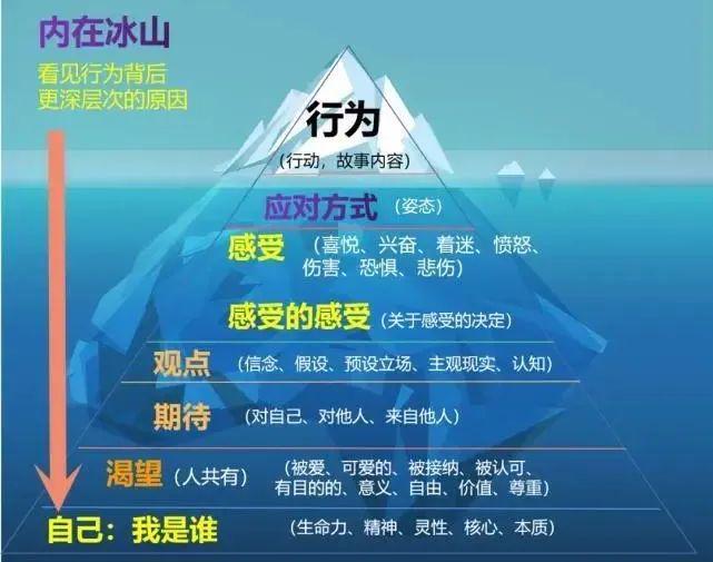 包含冰球盘口突变，业内人士深度分析的词条