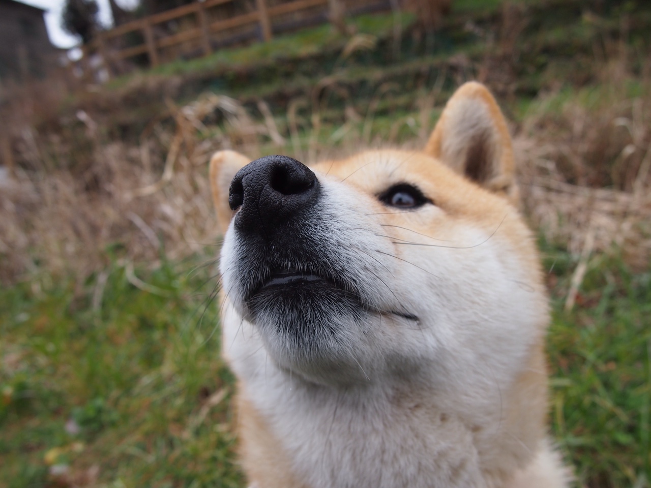 拉文末节19分导演逆转！雷霆淘汰猛龙，惊险晋级背后的关键先生密码