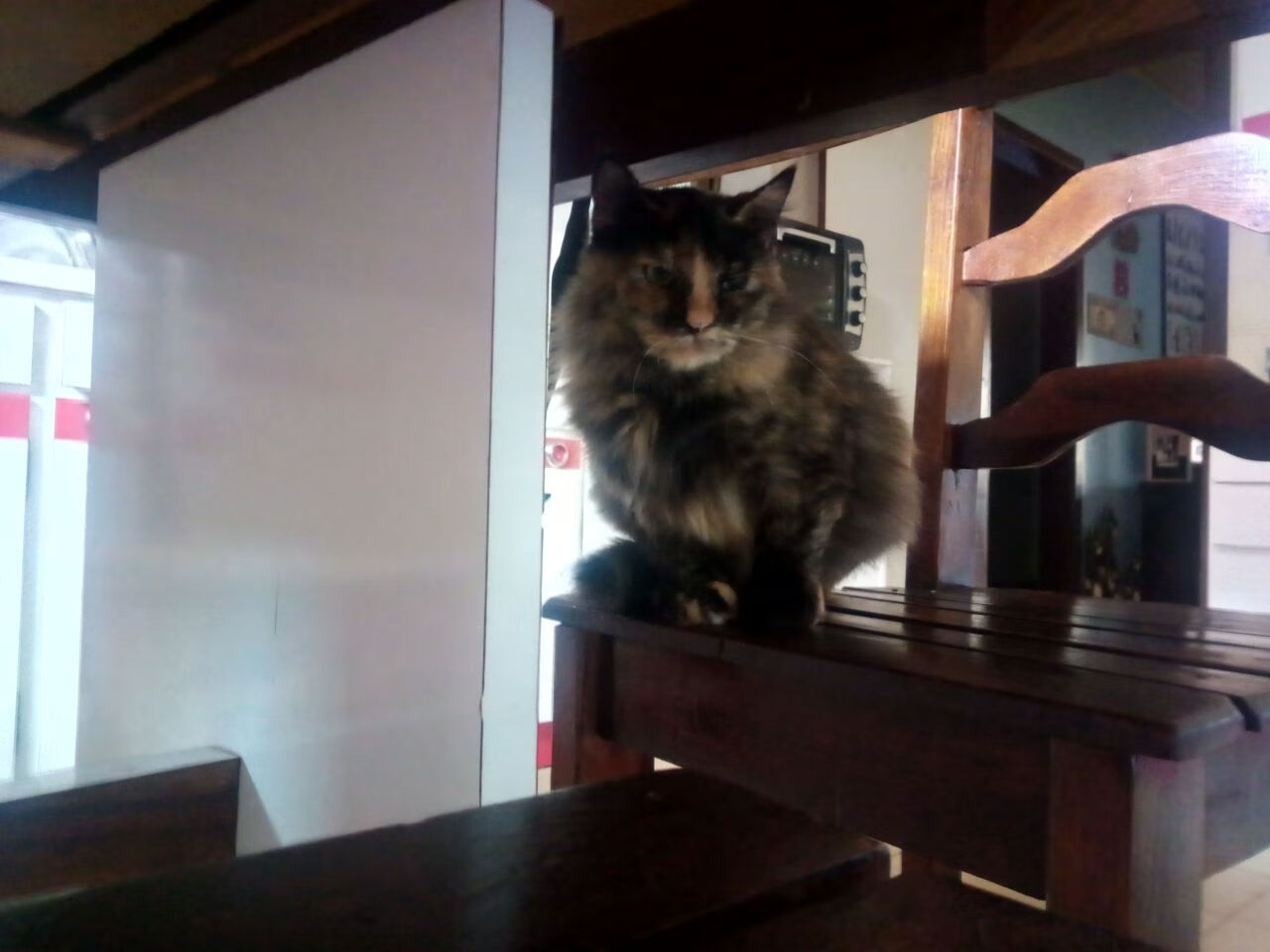 贝蒂斯火力全开压制拉齐奥，京多安持续制造致命杀伤