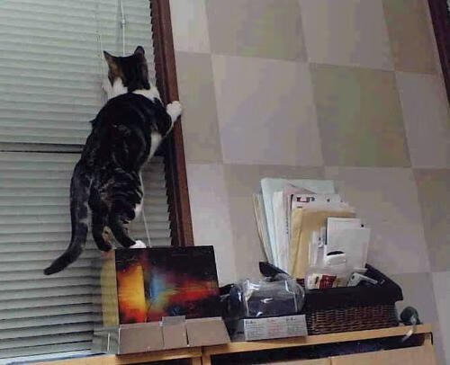 布鲁诺关键一击,伊拉克逆转哥斯达黎加,足球史诗再添新章