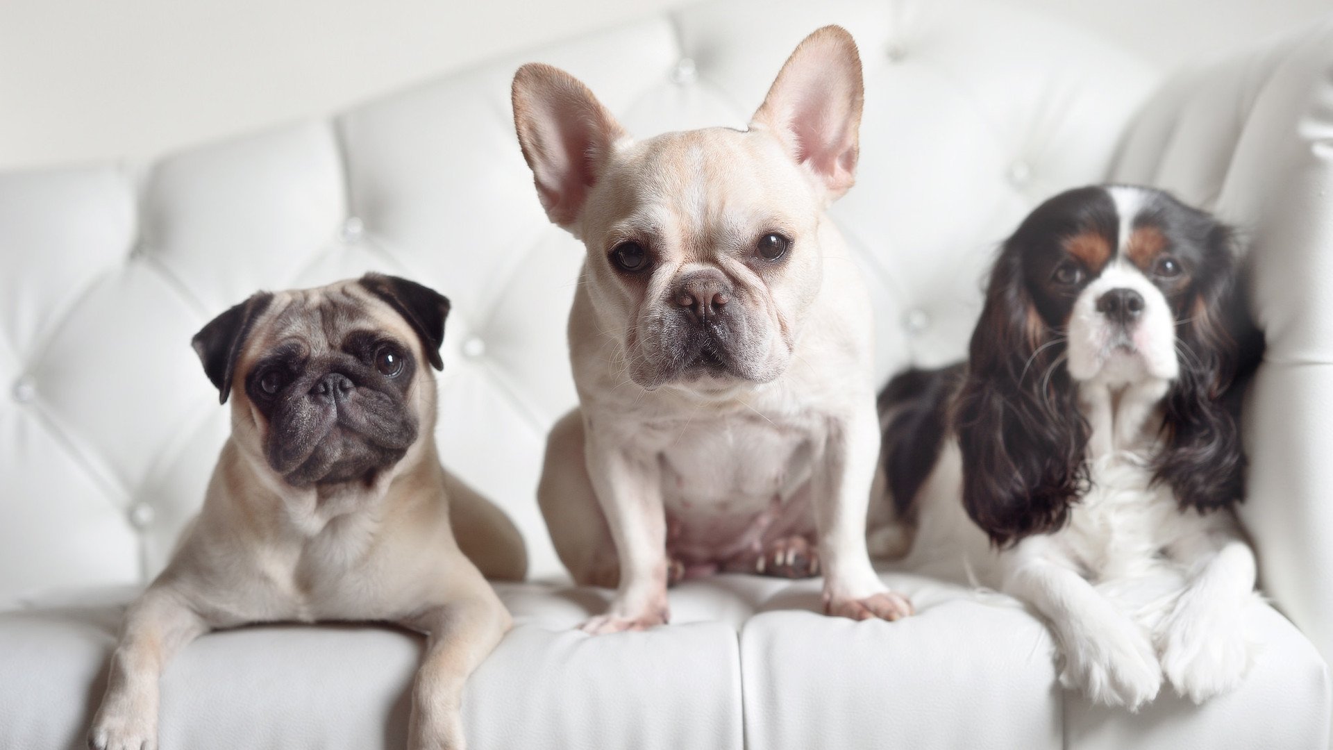 当利拉德遇见吉林队，绿茵传奇，点燃永恒赛场