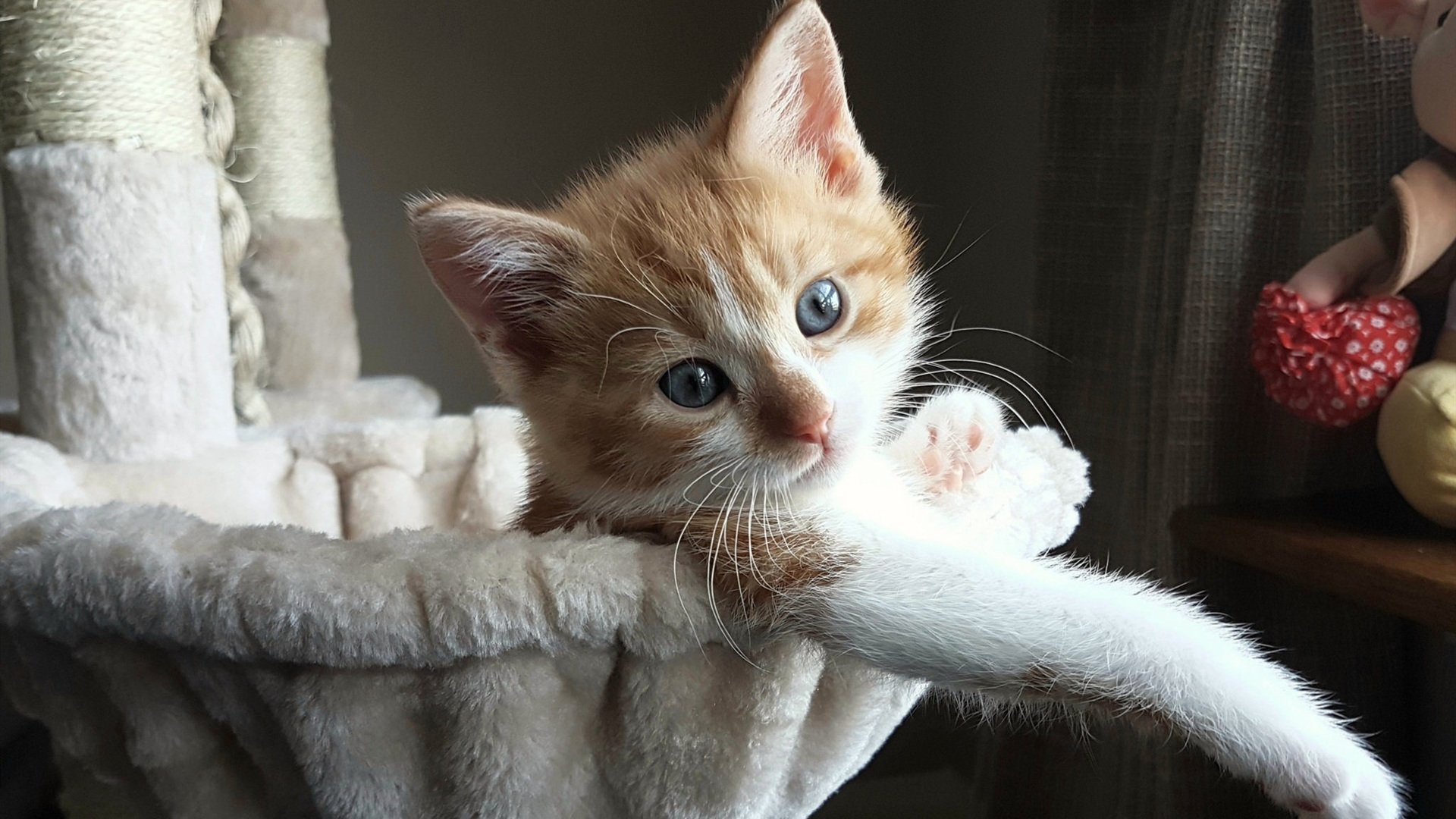 佛罗伦萨压哨绝杀法国，金玟哉化身节奏大师导演惊天逆转