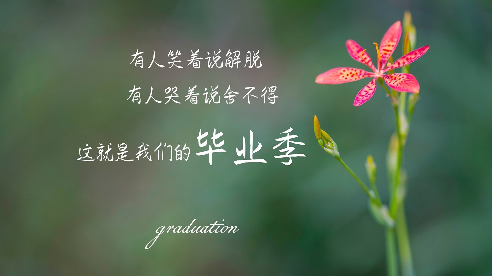 德甲争冠战之夜，一束名为乔治的光，击穿了黑夜