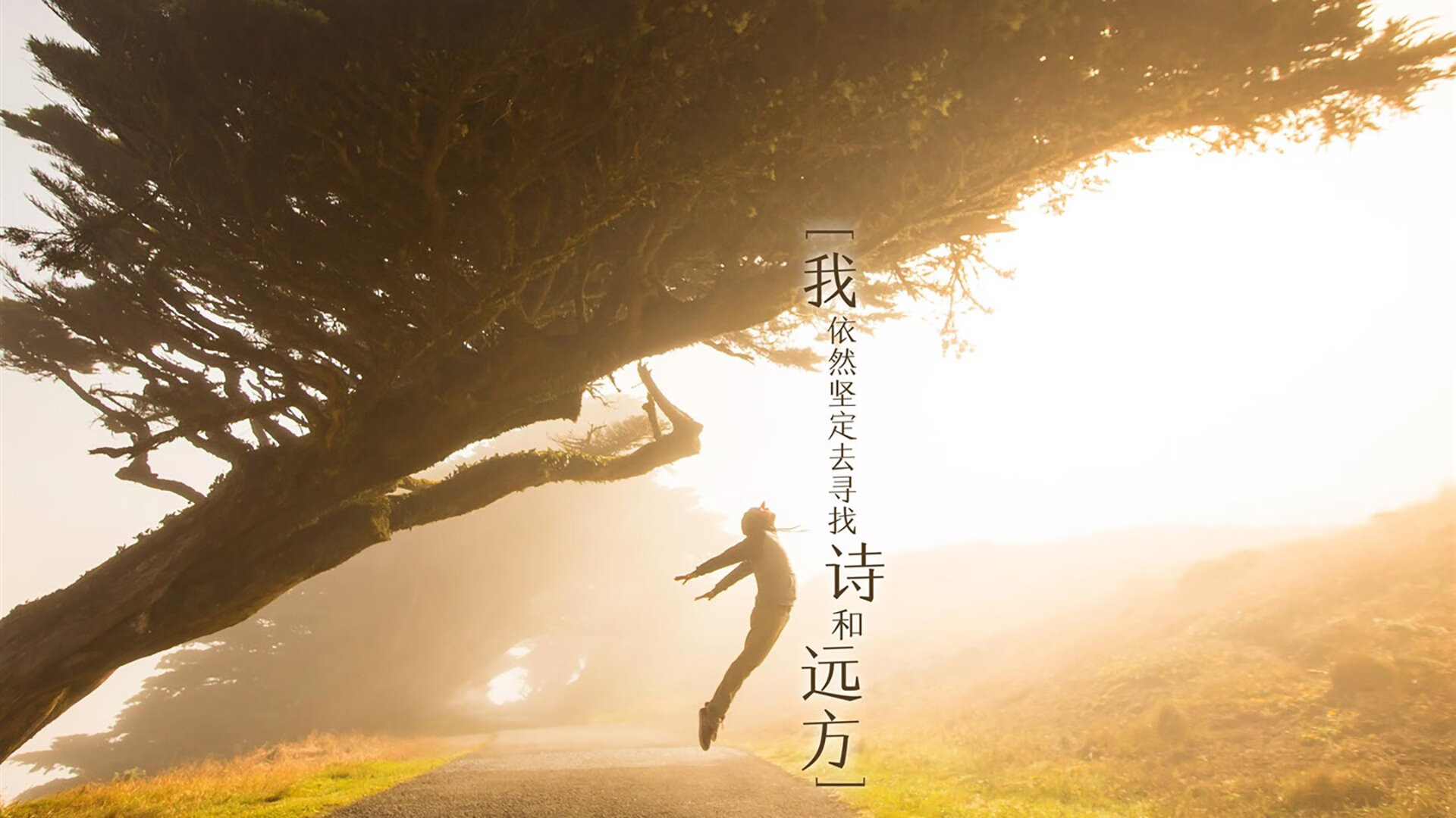 关键战,焦点战!阿森纳的胜利,那不勒斯的启示—奥运周期下的淘汰赛哲学