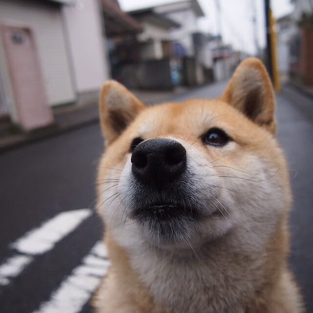 奇才利刃出鞘，丰田中心沦陷，一场定义赛季的碾压式征服