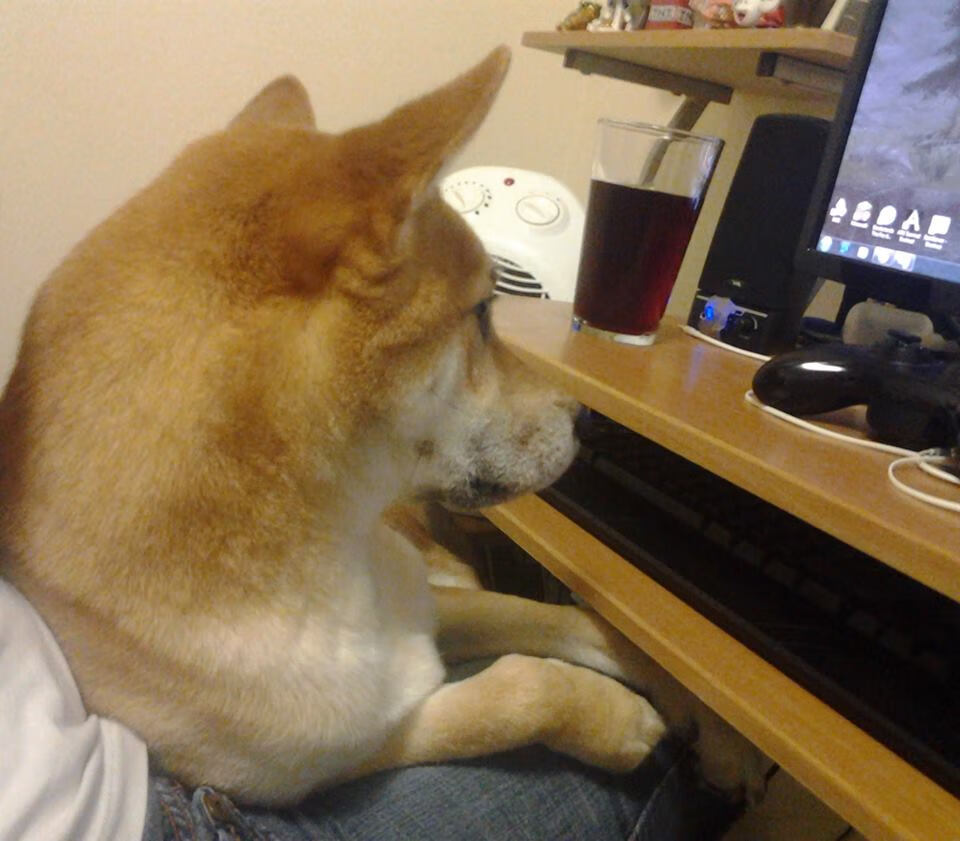 当欧冠遇见狂狼，淘汰赛法则与跨洲掀翻记