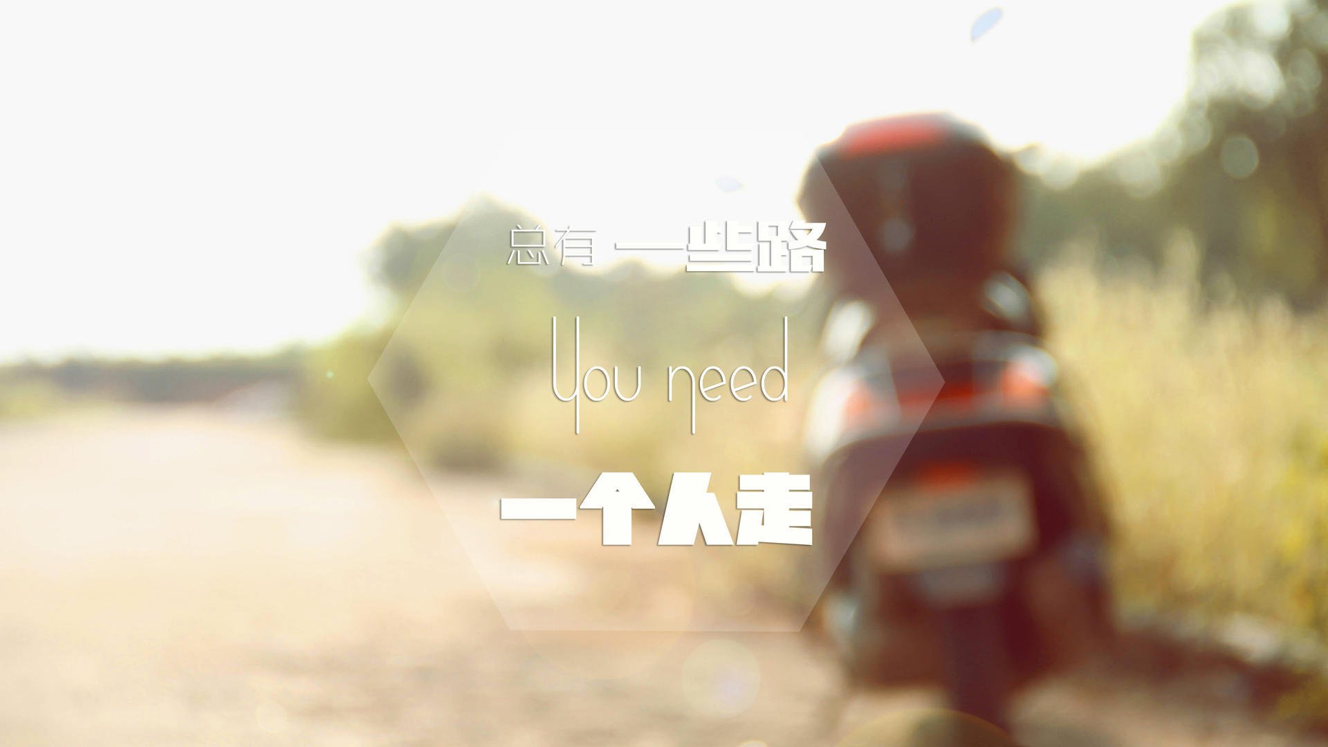 加克波爆发引领荷兰复兴，卡塔尔强势晋级迎战挪威挑战